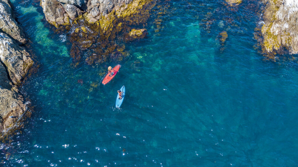 KAYAKING RENTAL / TOUR HOBIE JAPAN WEBサイト