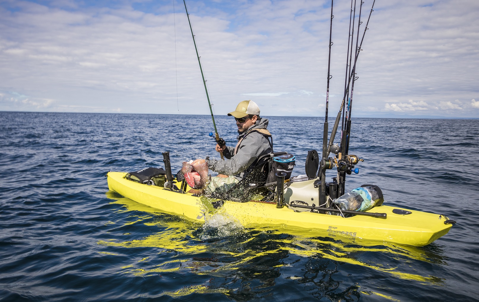 Compass_action_fishing_seagras